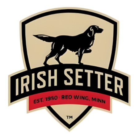 Irish Setter